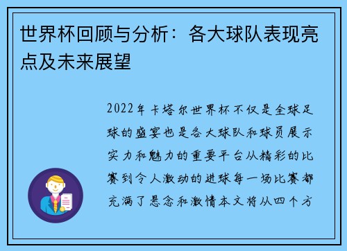 世界杯回顾与分析：各大球队表现亮点及未来展望