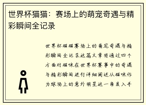 世界杯猫猫：赛场上的萌宠奇遇与精彩瞬间全记录